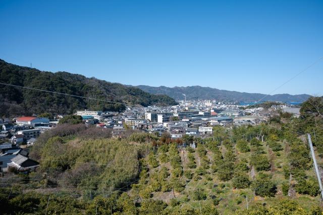 写真：みかん畑から街を見下ろした風景